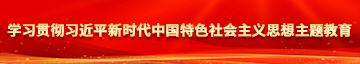 裸体女生被jj插网站视频学习贯彻习近平新时代中国特色社会主义思想主题教育